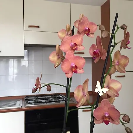 Narni.umbria Apartman *