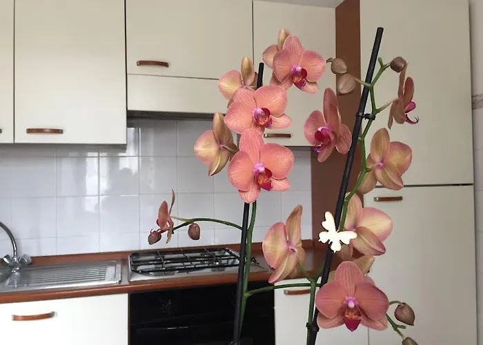 Narni.umbria Appartamento *